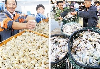 渤海休漁結(jié)束，開海喜迎豐收