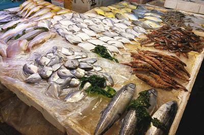 武夷山路海鮮市場 休漁期依舊琳瑯滿目，價格親民選擇多樣