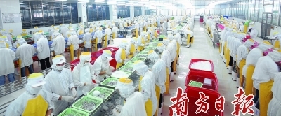 供給側(cè)結(jié)構(gòu)性改革 驅(qū)動(dòng)廣東漁業(yè)現(xiàn)代化與農(nóng)產(chǎn)品升級(jí)的新引擎