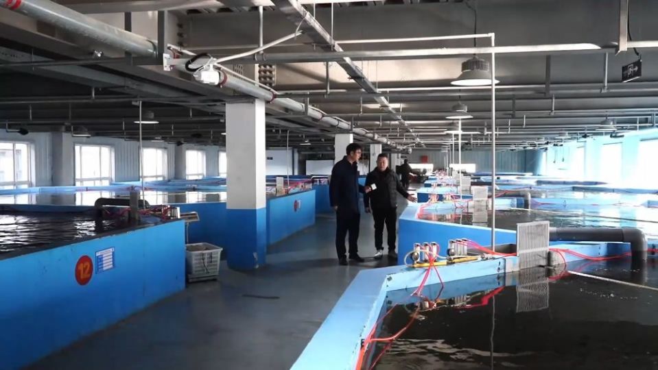 冬日暖陽里，聽一曲鄉村振興的“魚米”交響