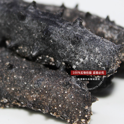 廠家直供大連純淡干海參 從冷凍粗加工到品質干貨的一站式批發