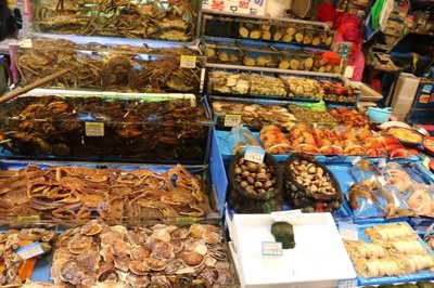 冬日戀歌 1月中下旬首爾-濟(jì)州島14日蜜月游與濟(jì)州島婚紗攝影攻略